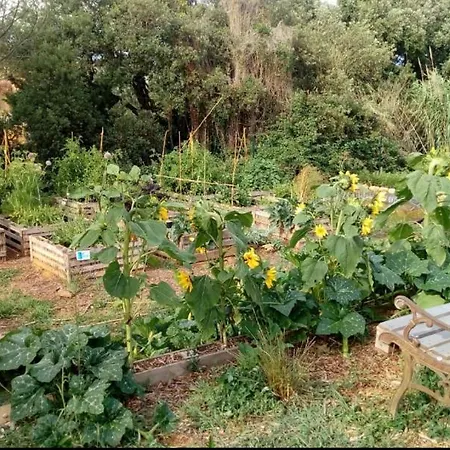 La Bastide Neuve Des Oliviers * La Londe-les-Maures
