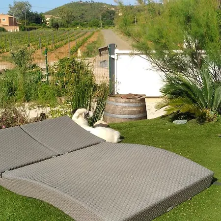 La Bastide Neuve Des Oliviers Daire *